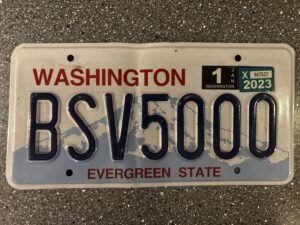 Washington BSV5000