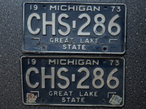 Michigan CHS286 PAAR